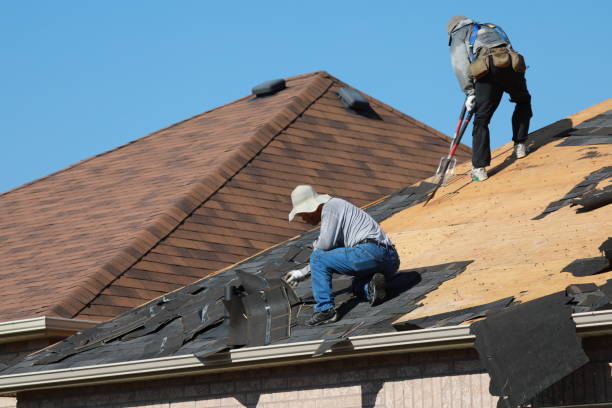 Best Roof Coating and Sealing  in Collierville, TN